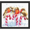 Luca-S Christmas Birds Counted Cross-Stitch Kit
